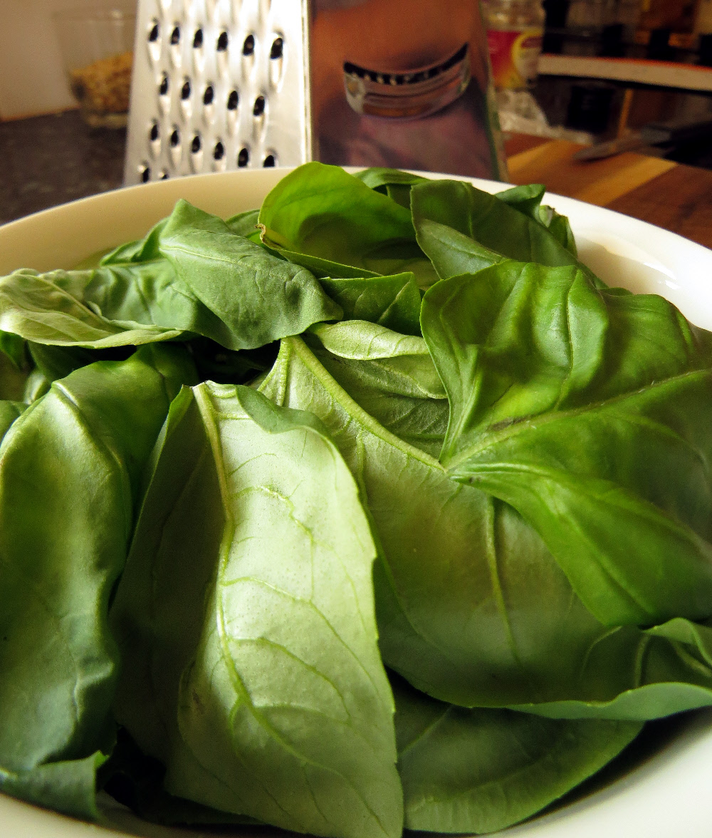 basil leaves