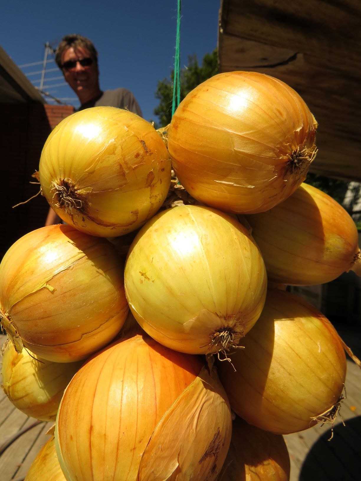 how to string onions