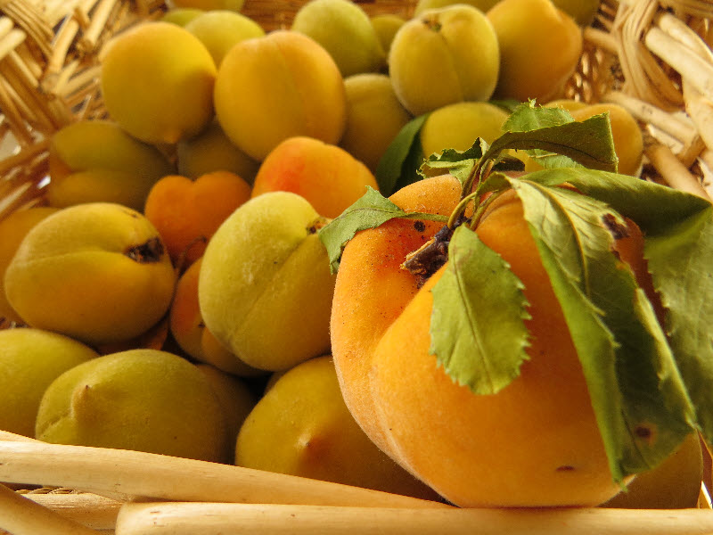 peach harvested