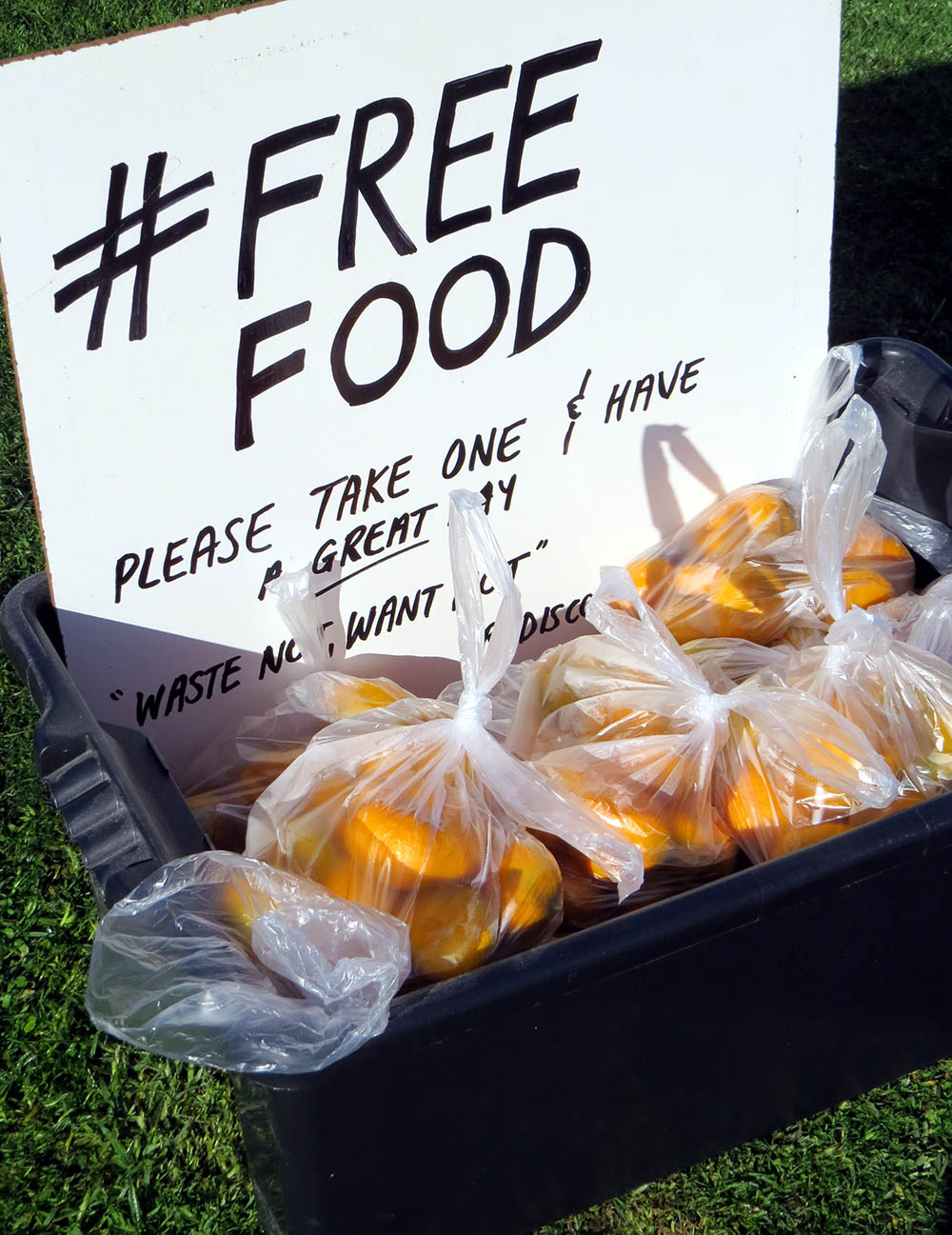 #freefood