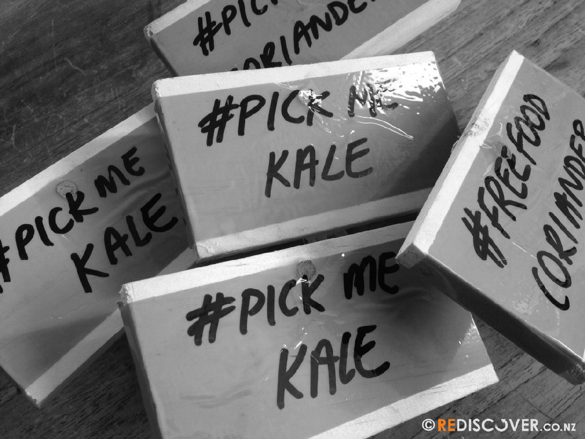 pick me