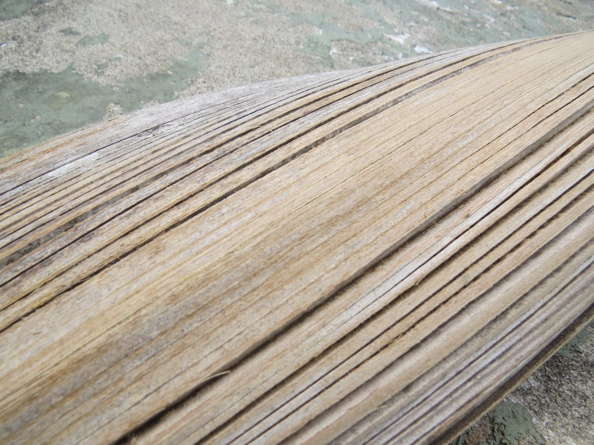 Upcycling Nikau Palm fronds