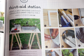 In Your Backyard, living lightly: self watering planter In Your Backyard, living lightly: self watering planter