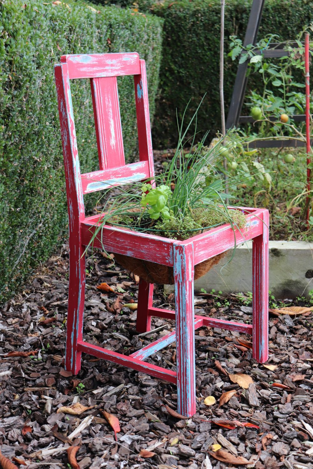 Distressed Paint Project Outdoor Herb Chair Rediscover