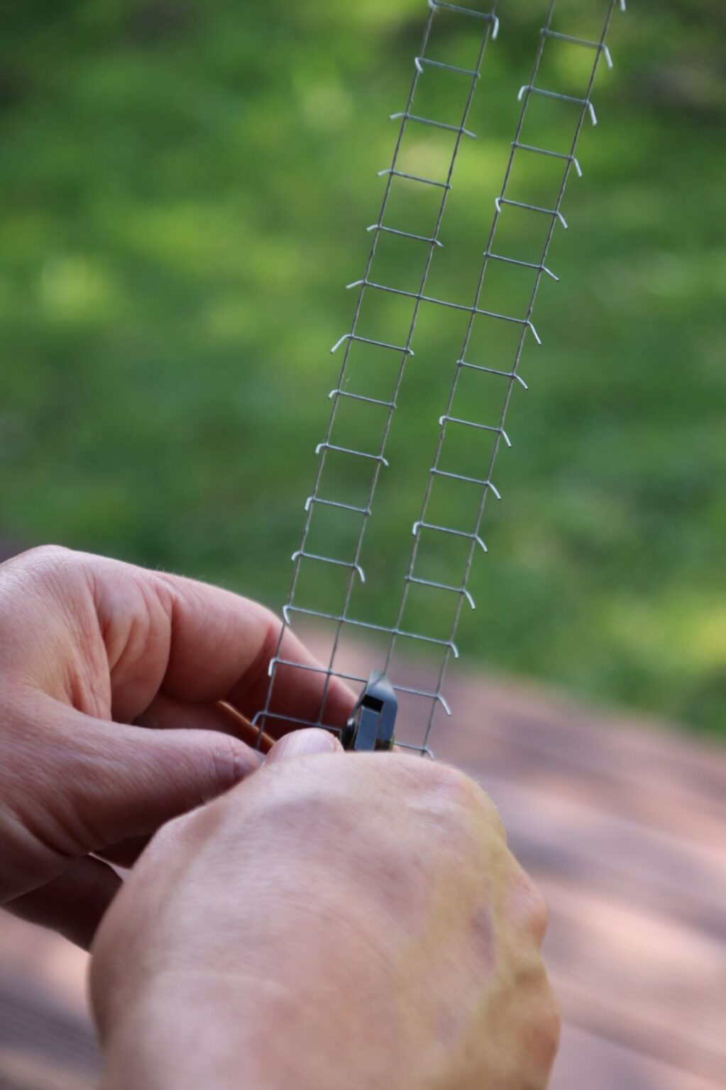 DIY bird spikes Deterring small birds from perching on window ledges Rediscover
