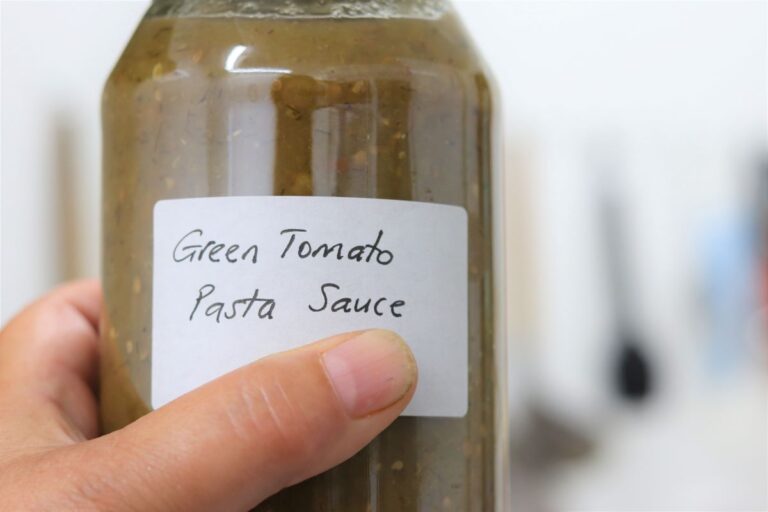 Green Tomato Pasta Sauce Rediscover