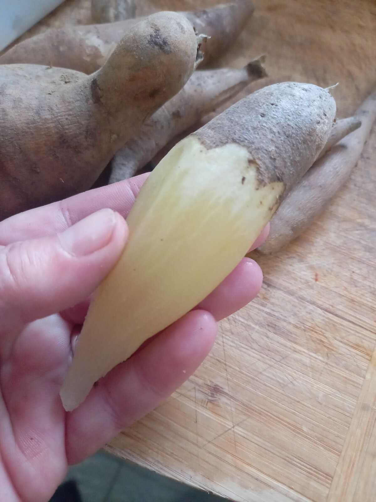 peeled yacon