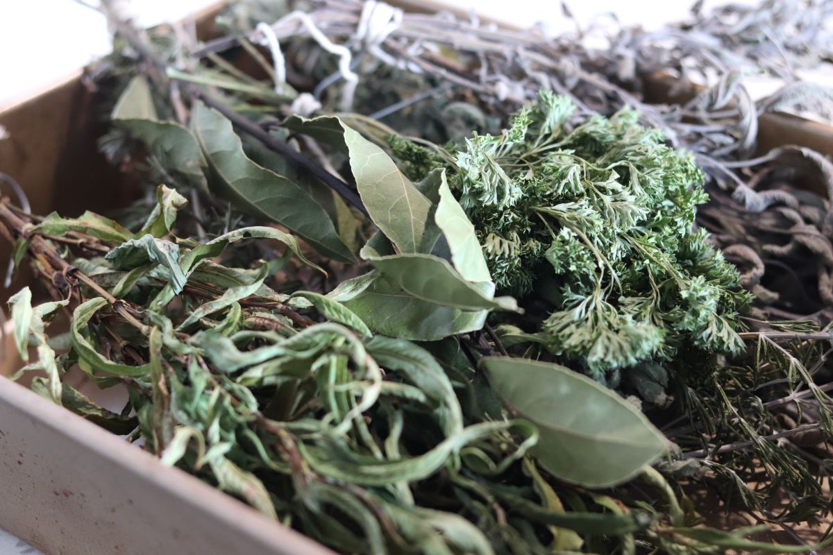 dried herbs