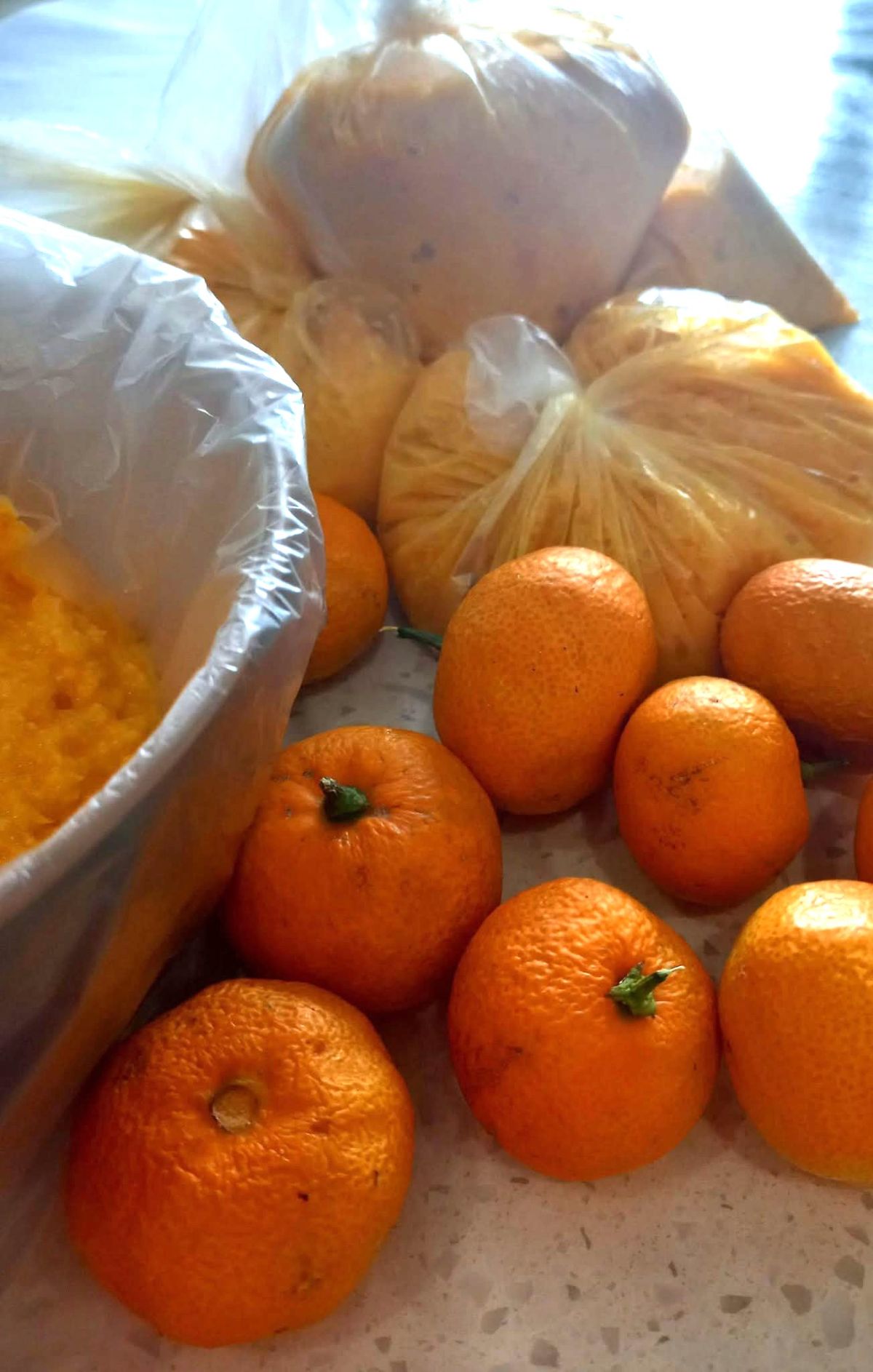 Skin-on Mandarin Puree