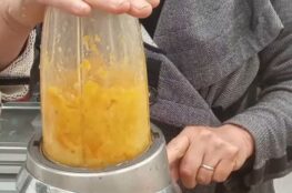 Skin-on Mandarin Puree