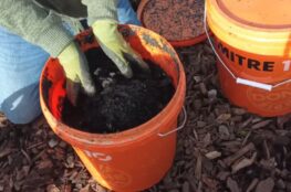 DIY bokashi compost
