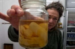 homemade extracts (natural baking essences) - lemon, orange, mandarin, vanilla bean