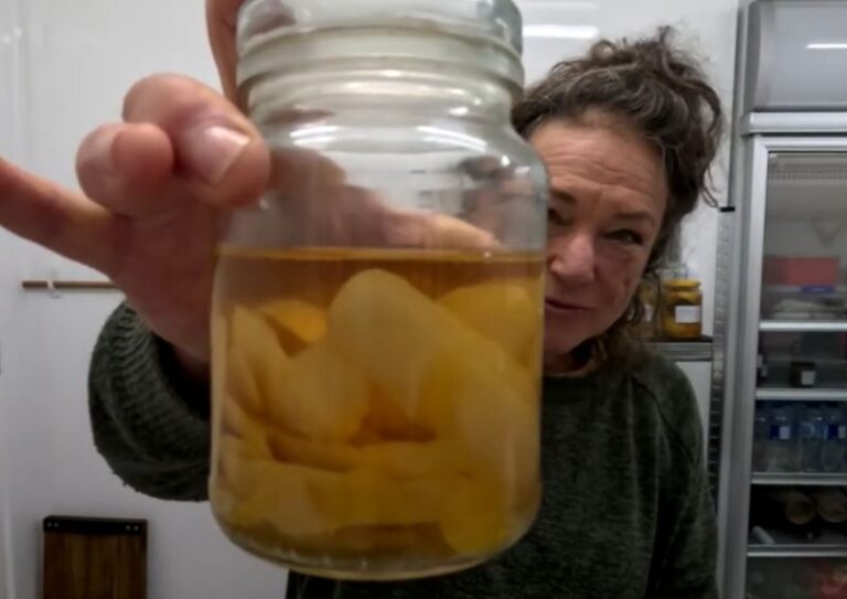 homemade extracts (natural baking essences) - lemon, orange, mandarin, vanilla bean
