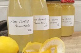 homemade lime cordial concentrate