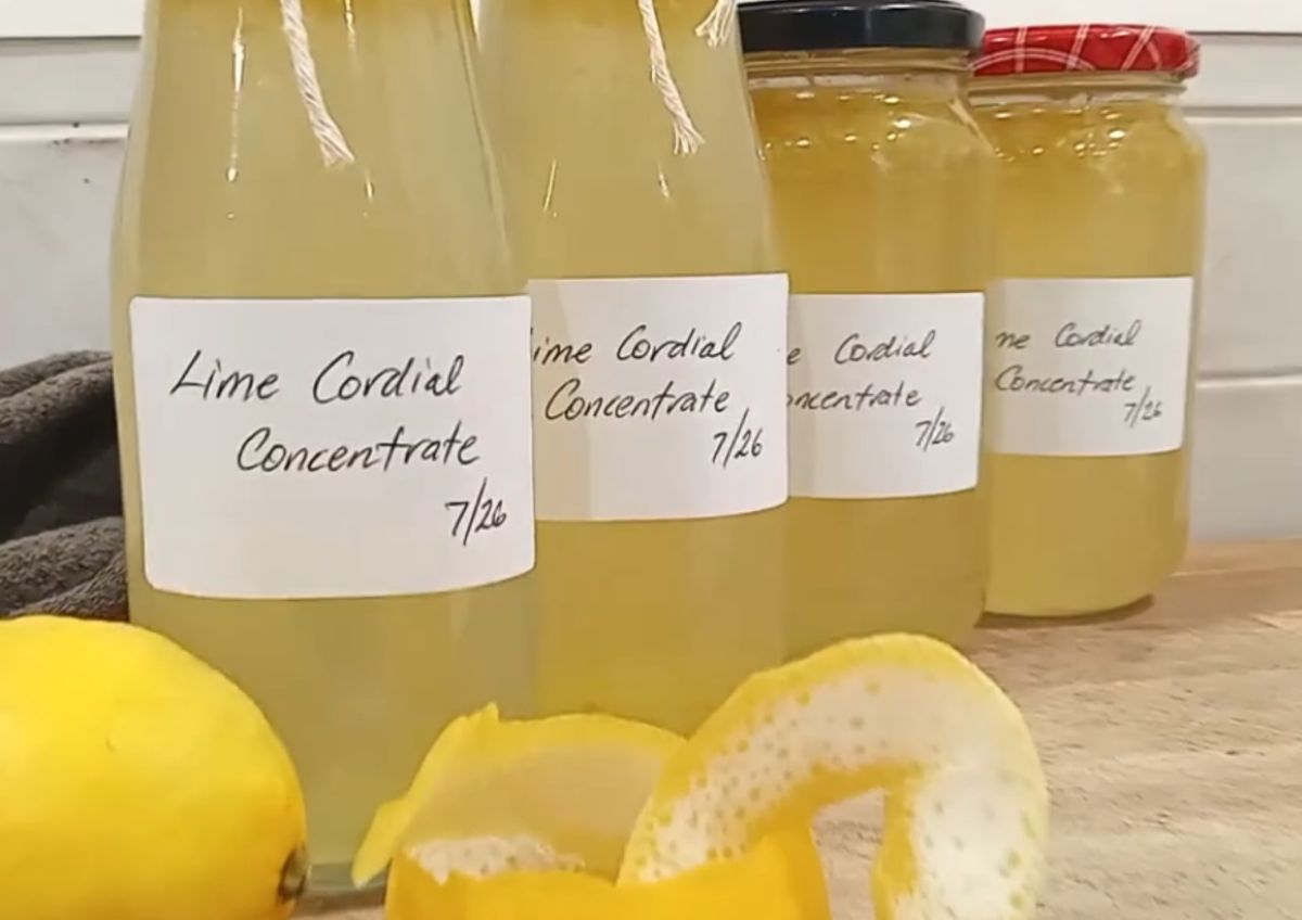 homemade lime cordial concentrate