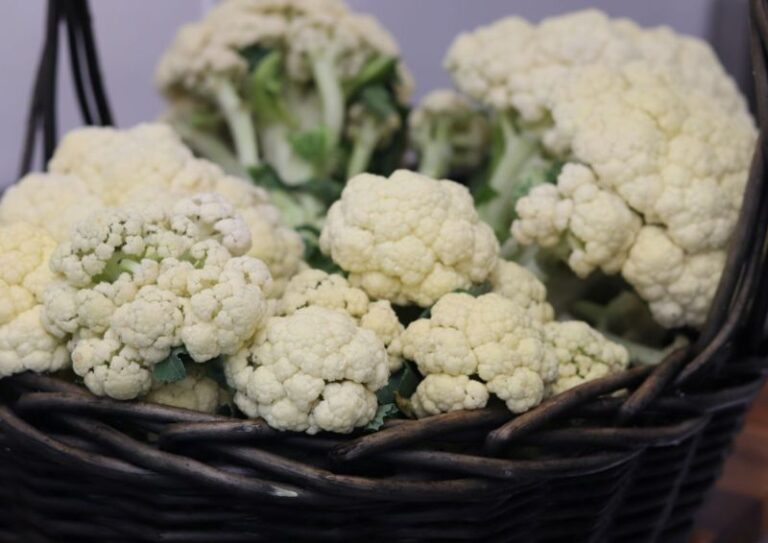 Growing i-Stem Cauliflower